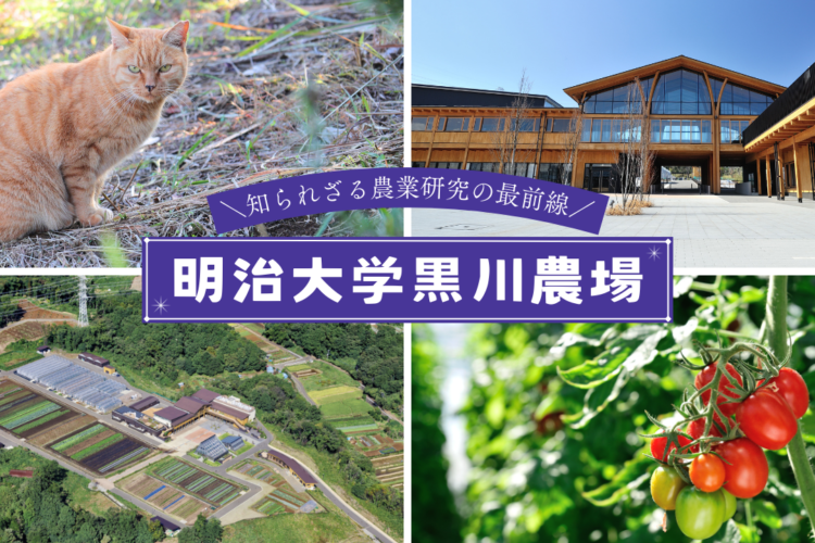 知られざる農業研究の最前線、“明治大学黒川農場”潜入レポート