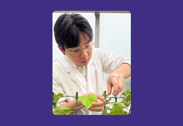 【農学研究科
