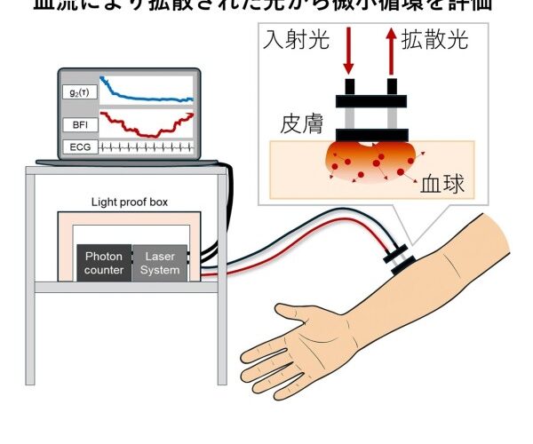 光学的血流計測による出血性ショックの微小循環変化を可視化