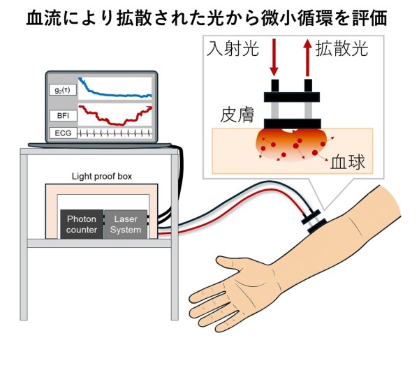 光学的血流計測による出血性ショックの微小循環変化を可視化