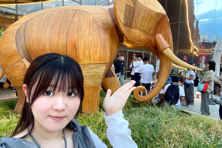 タイで政治経済・文化を学び、さまざまな人と交流！引率ありのグループ留学で初めてでも安心│横田清佳さん