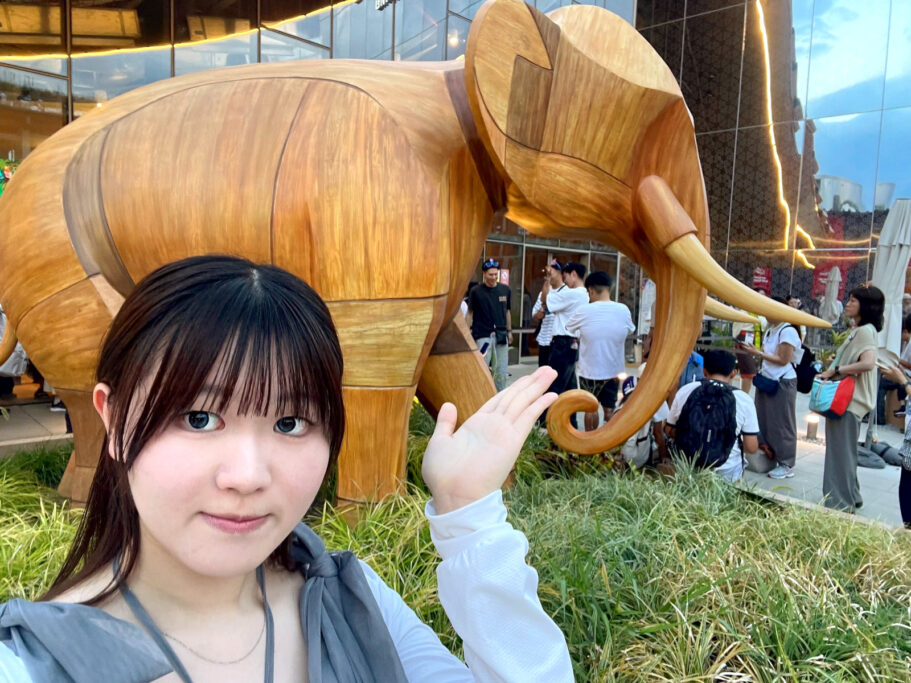 タイで政治経済・文化を学び、さまざまな人と交流！引率ありのグループ留学で初めてでも安心│横田清佳さん