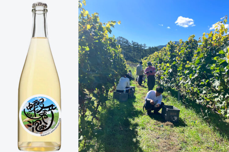 北海道仁木町のワインを通じた地域活性化プロジェクト│経営学部