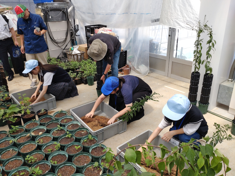 黒川農場で「得意な才能を伸ばす教育（理数）」を受け入れ｜農学部