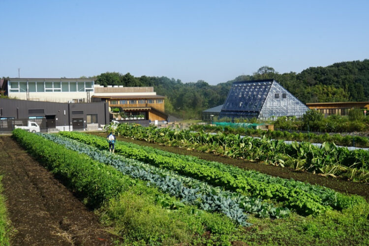 社会人向け公開講座「アグリサイエンス講座」を開講――ユニークな実習の場を提供｜黒川農場